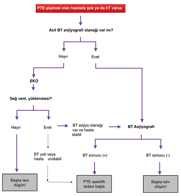 Şok ya da hT eşlik ettiği PTE şüphesi olan hastada tanı algoritması
