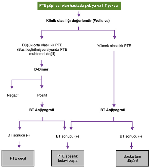 Şok ya da hT olmayan hastada PTE tanı algoritması