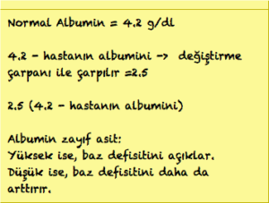 Ekran Resmi 2015-05-30 15.46.41