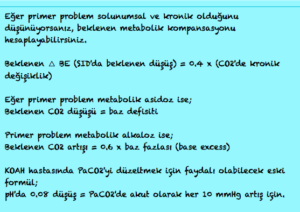 Ekran Resmi 2015-05-30 20.39.26