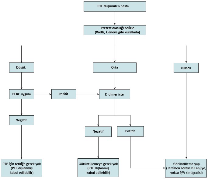 PTE tanı algoritması
