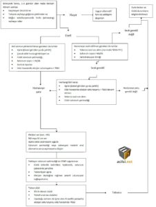 Çocuklarda bronşiolit Algoritması