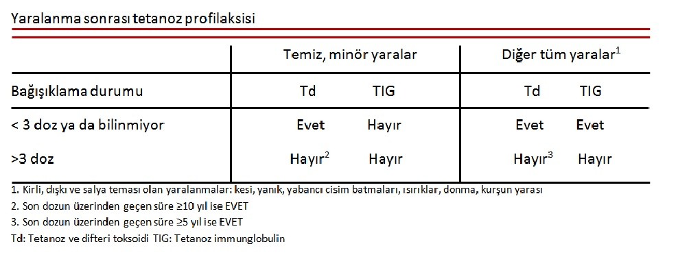 Tetanozun profilaksisi ve endikasyonları Tetanozun profilaksisi ve endikasyonları