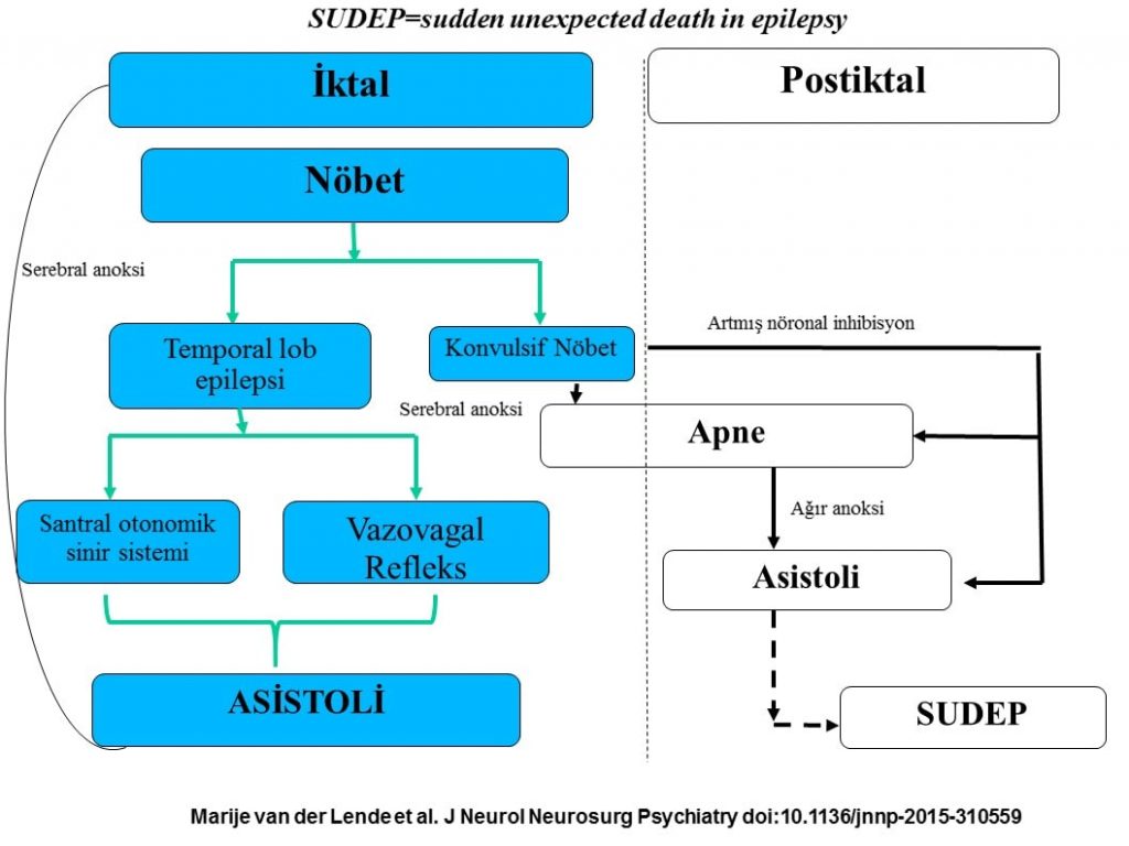 J Neurol Neurosurg Psychiatry jnnp-2015-310559, Figure%A01-min
