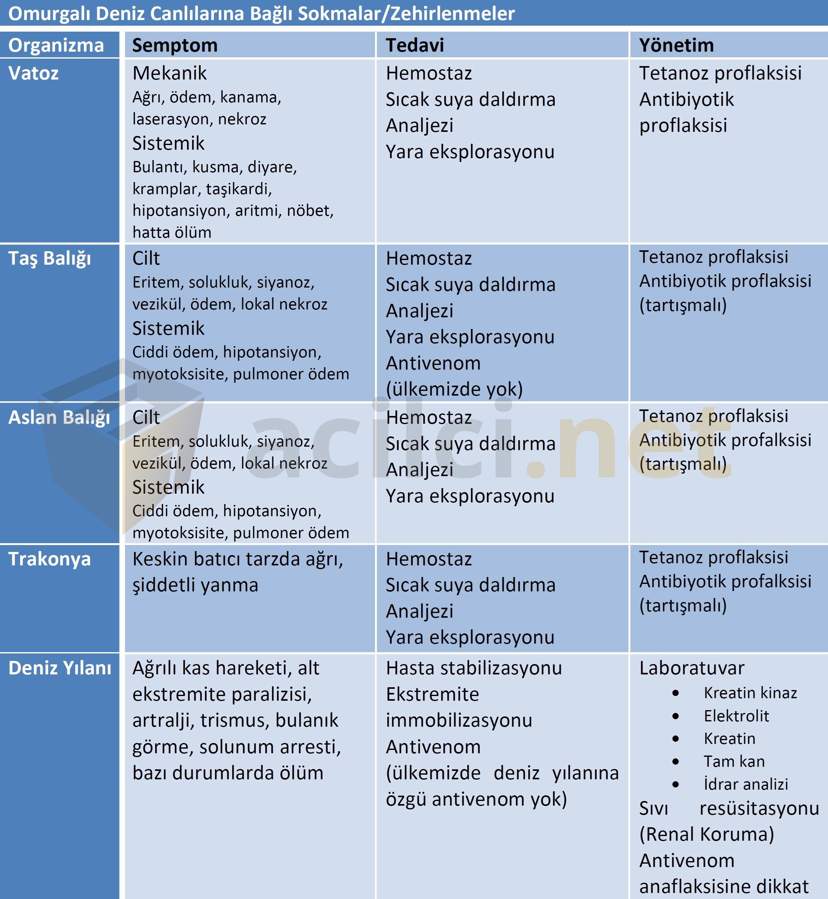 En zehirli balık ve etkileri nelerdir En zehirli balık ve etkileri nelerdir