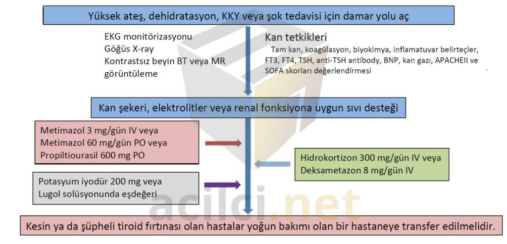 Tiroid fırtınasının başlangıç tedavisi ve önerilen görüntüleme çalışmaları ile laboratuvar incelemeleri