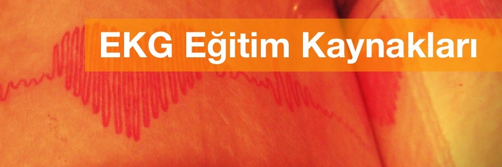 EKG Kaynakları 1