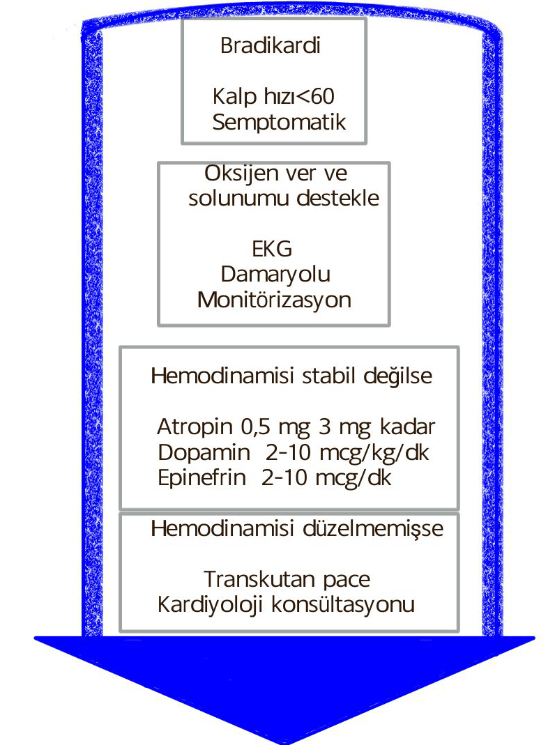 Bradikardi. Nedir ve nasıl tedavi edilir Bradikardi. Nedir ve nasıl tedavi edilir