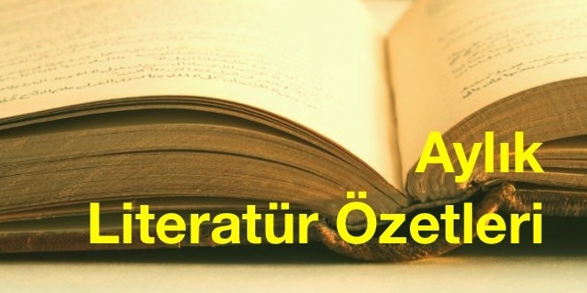 literatür özetleri