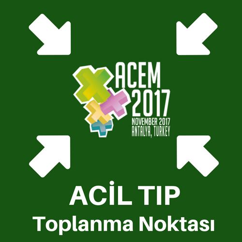Bir Özel Kongre... ACEM 2017 1