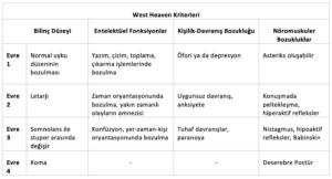 Acilci Gözüyle Hepatik Ensefalopati