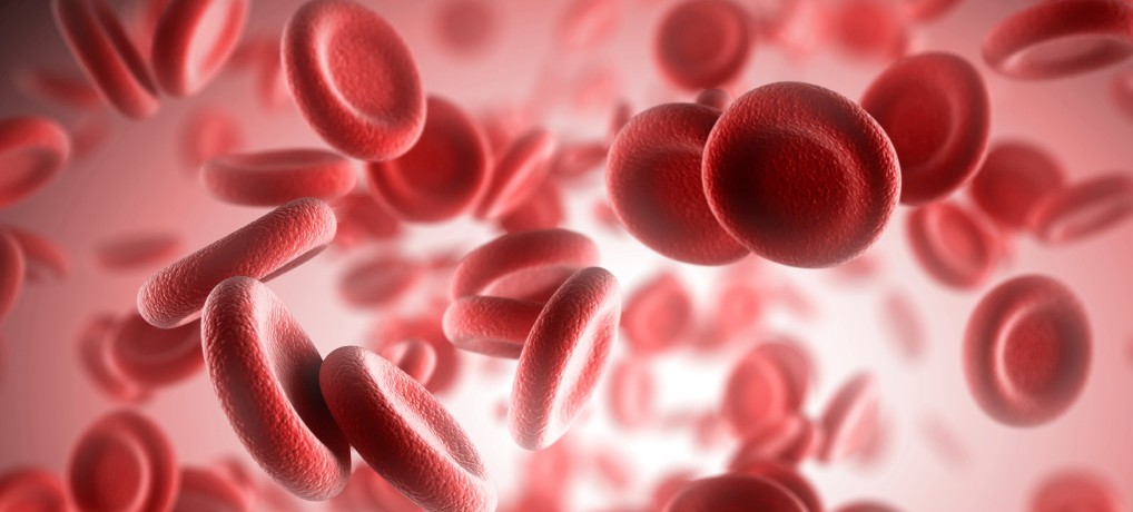 Hematolojik Onkolojik Aciller