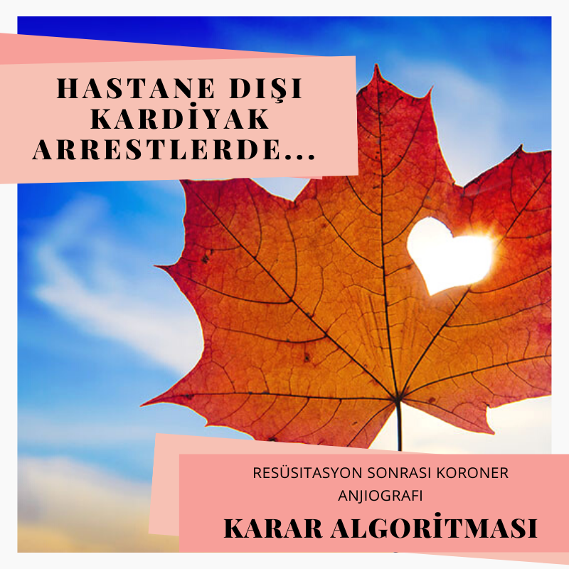 Koroner Anjiyografi Karar Algoritması 1