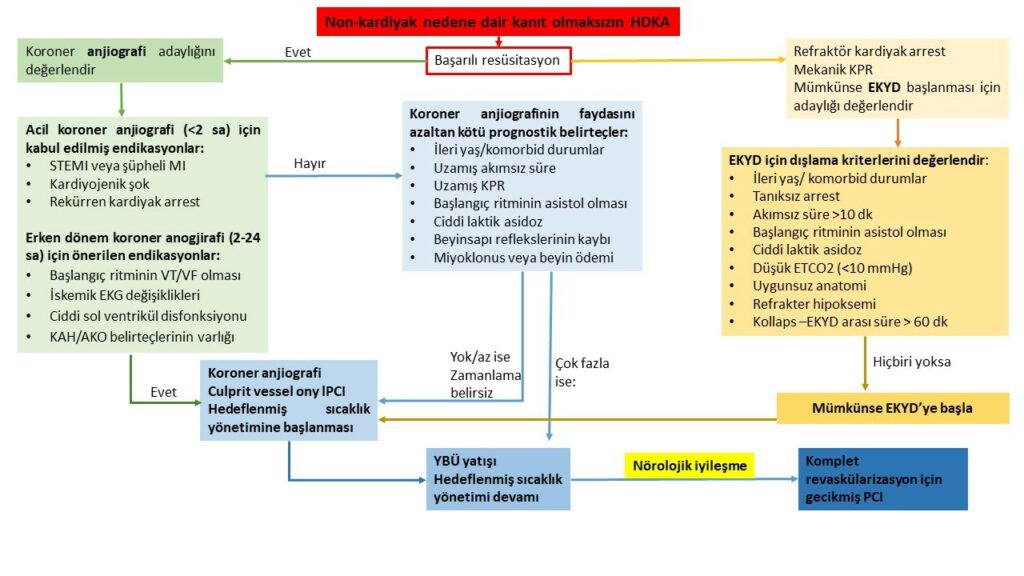 Koroner Anjiyografi Karar Algoritması 2