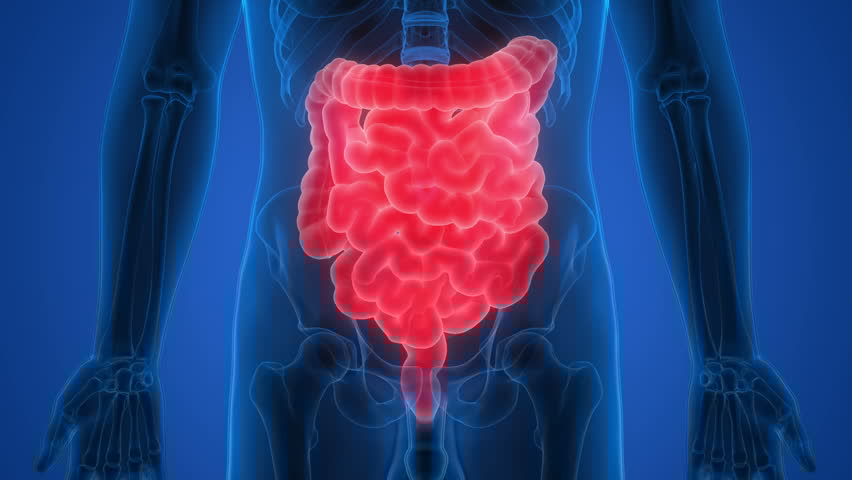 Akut Gastroenterit Tedavisi 1 Akut Gastroenterit Tedavisi