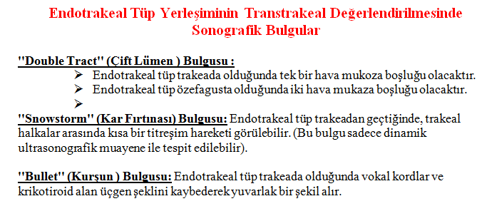 Havayolu Yönetiminde USG Kullanımı 4