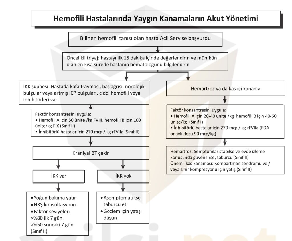 Kanama Bozukluğu 8
