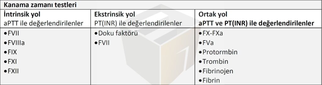 Kanama Bozukluğu 4