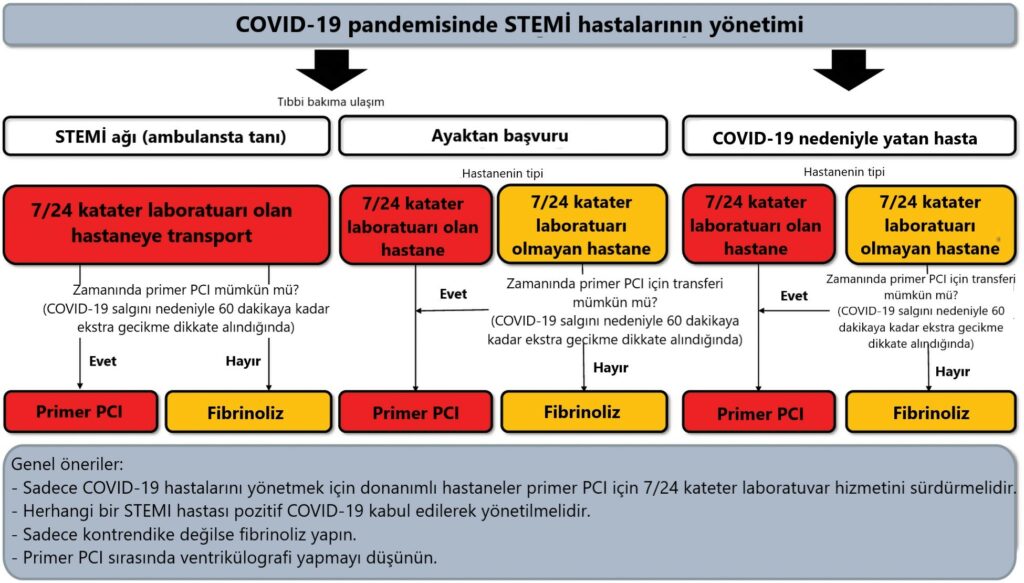COVID-19 ve Kardiyovasküler Etkiler 4 COVID-19