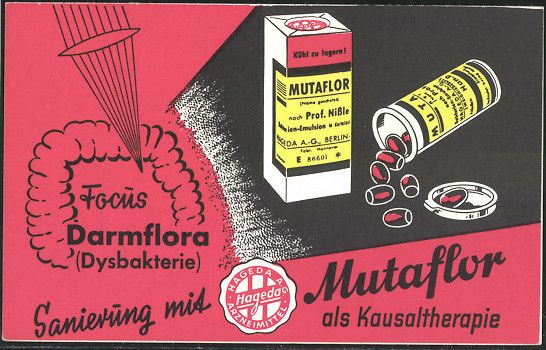 Hitler’in Sosyetik Doktoru 5